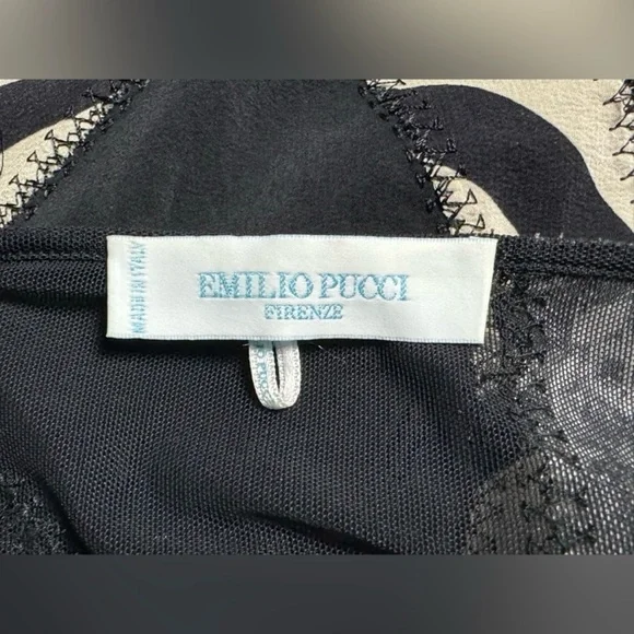 🔥Emilio Pucci 2009 Runway Look 19 Silk & Mesh Abstract Dress - Picture 6 of 12